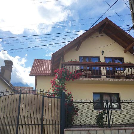 Hotel Casa Piatra Craiului Zărneşti Exterior foto