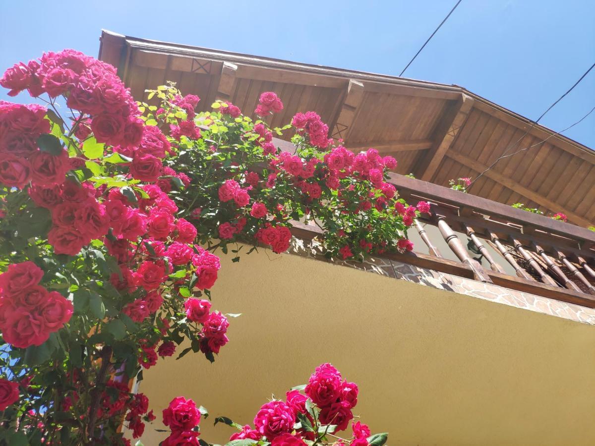 Hotel Casa Piatra Craiului Zărneşti Exterior foto