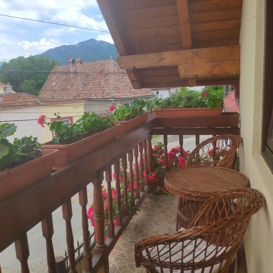 Hotel Casa Piatra Craiului Zărneşti Exterior foto