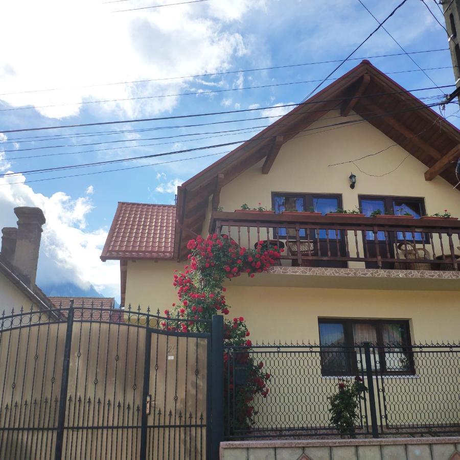 Hotel Casa Piatra Craiului Zărneşti Exterior foto