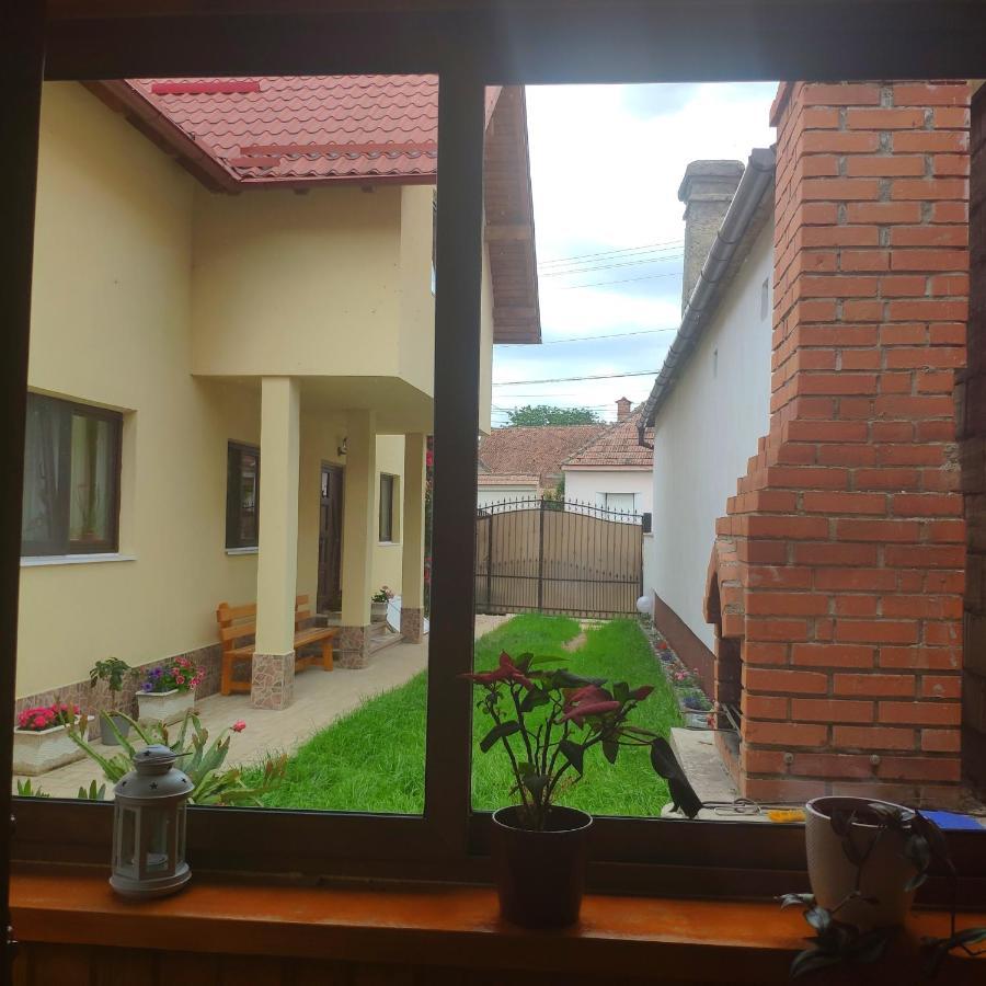 Hotel Casa Piatra Craiului Zărneşti Exterior foto