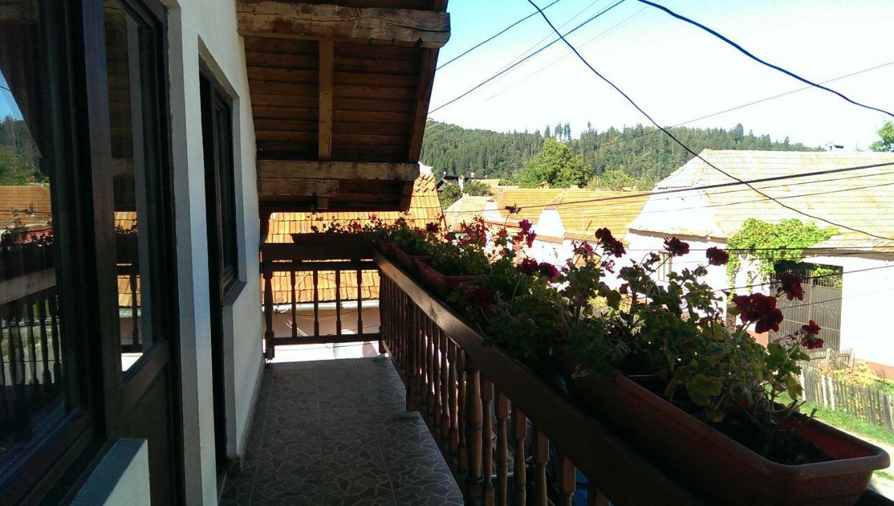 Hotel Casa Piatra Craiului Zărneşti Exterior foto