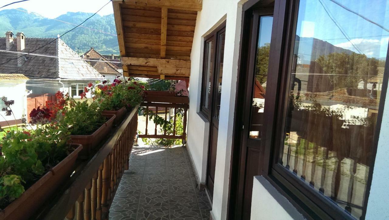 Hotel Casa Piatra Craiului Zărneşti Exterior foto