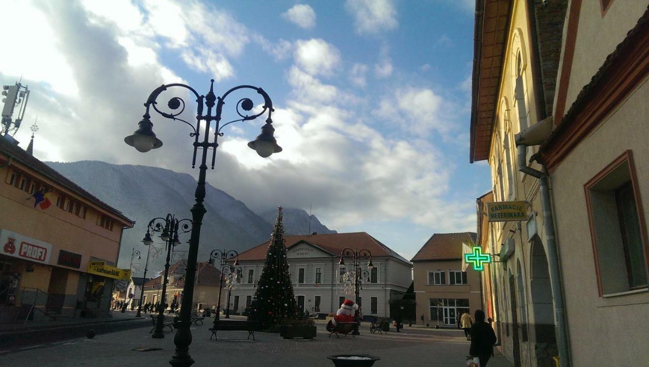 Hotel Casa Piatra Craiului Zărneşti Exterior foto