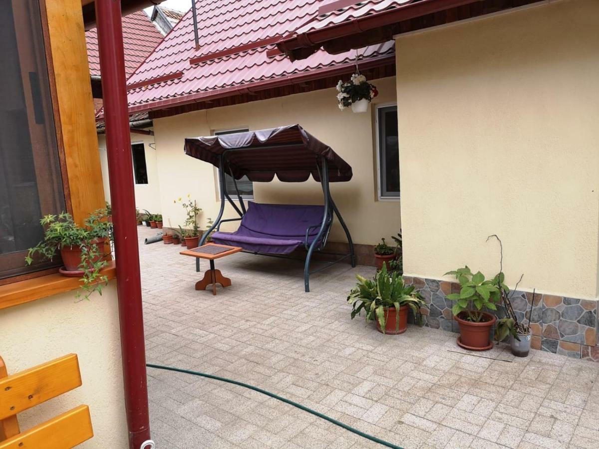 Hotel Casa Piatra Craiului Zărneşti Exterior foto